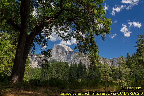 Cook’s Meadow View of Half Dome, Yosemite National Park.