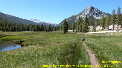 he approach to Potter Point in Lyell Canyon, Yosemite NP.