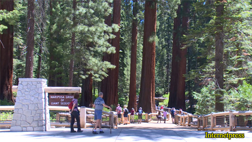 Trailhead for Mariposa Grove of Giant Sequoias.